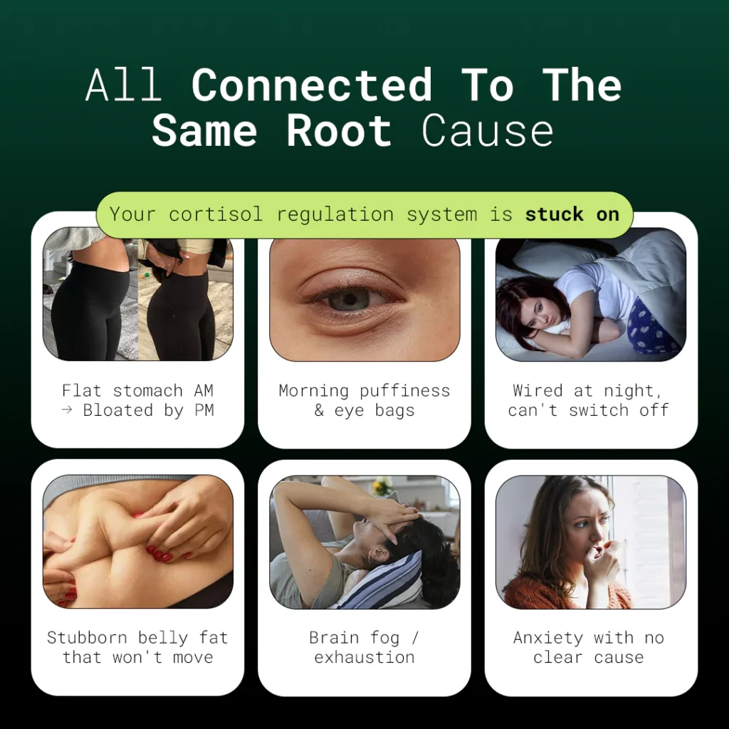 Soluma Rhodiola Rosea Dietary Supplement