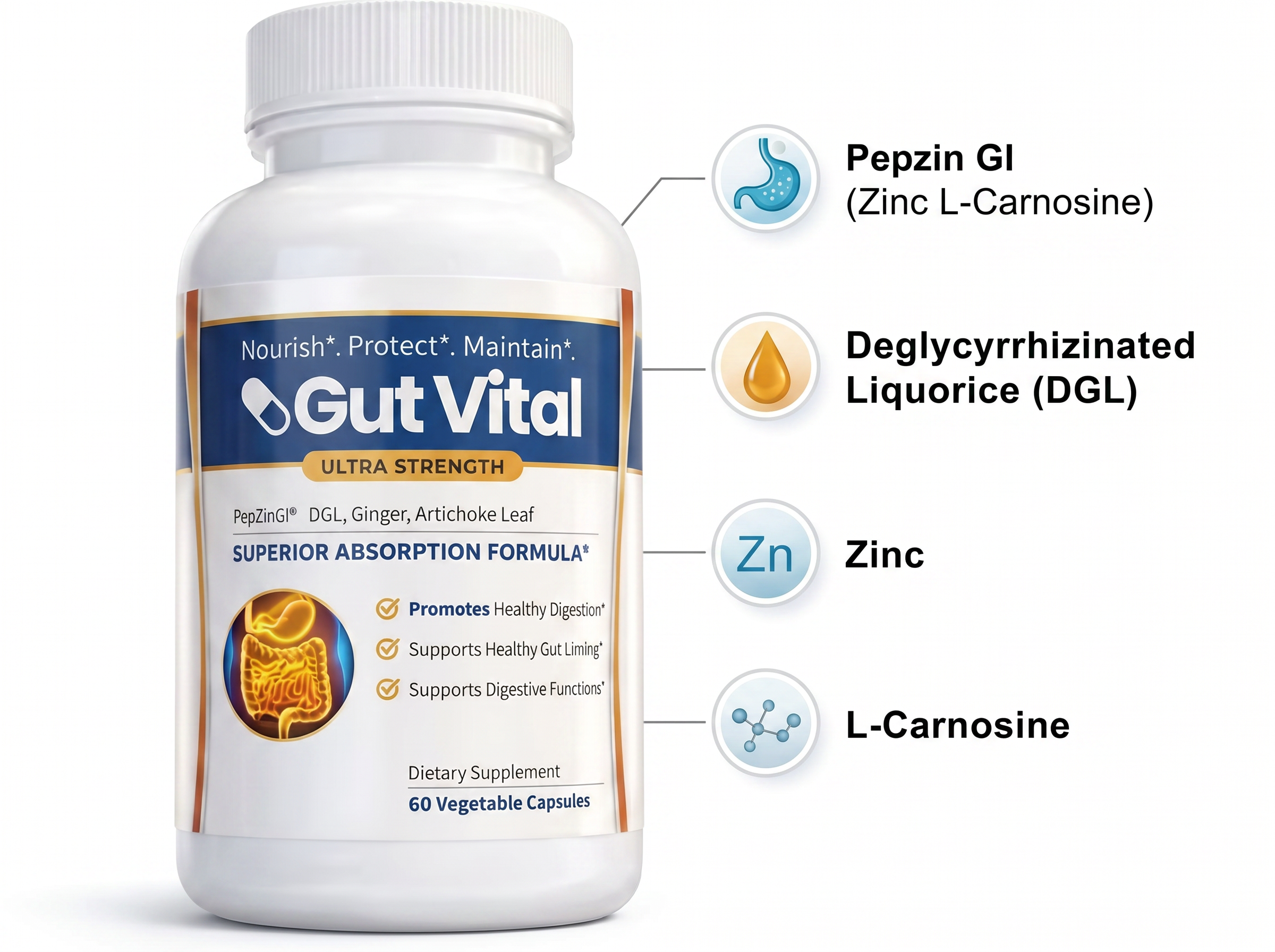 GutVital Digestive Support Capsules